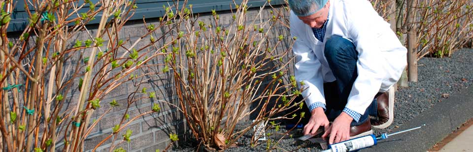 BPI controle en advies